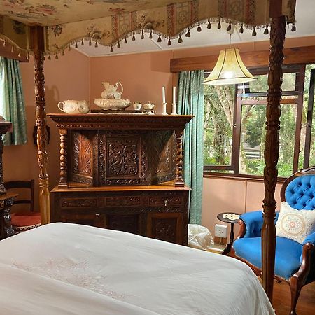 Nature'S Valley Health Retreat A Hide Away In The Forest 외부 사진