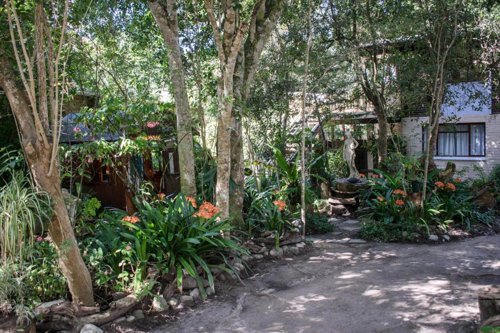 Nature'S Valley Health Retreat A Hide Away In The Forest 외부 사진