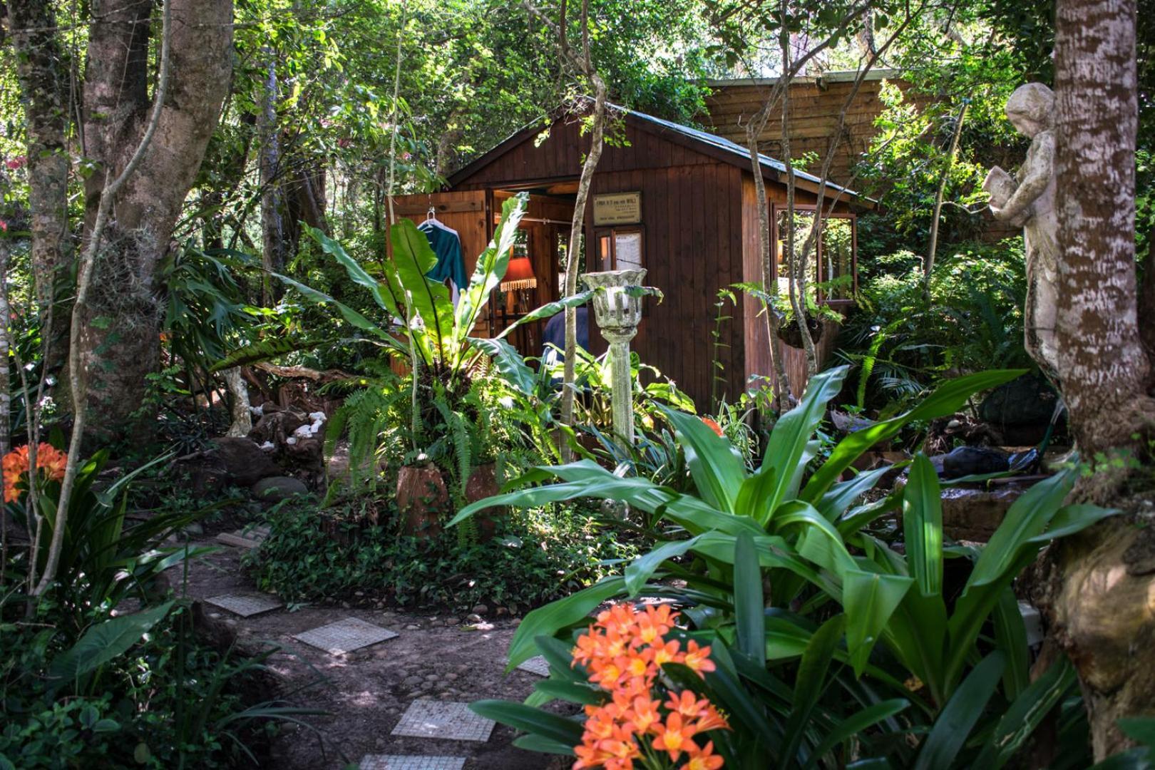 Nature'S Valley Health Retreat A Hide Away In The Forest 외부 사진