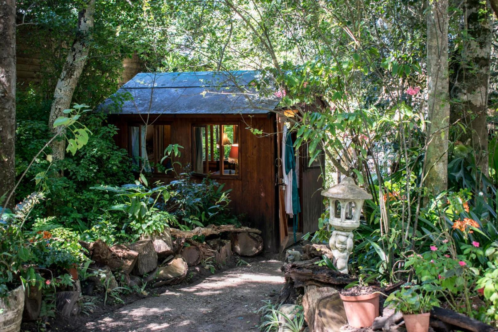 Nature'S Valley Health Retreat A Hide Away In The Forest 외부 사진