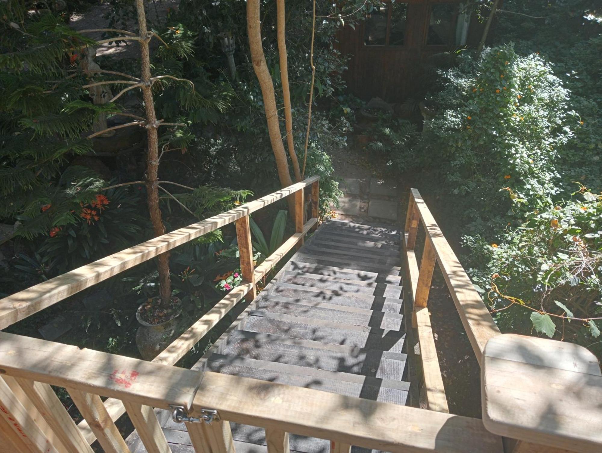 Nature'S Valley Health Retreat A Hide Away In The Forest 외부 사진