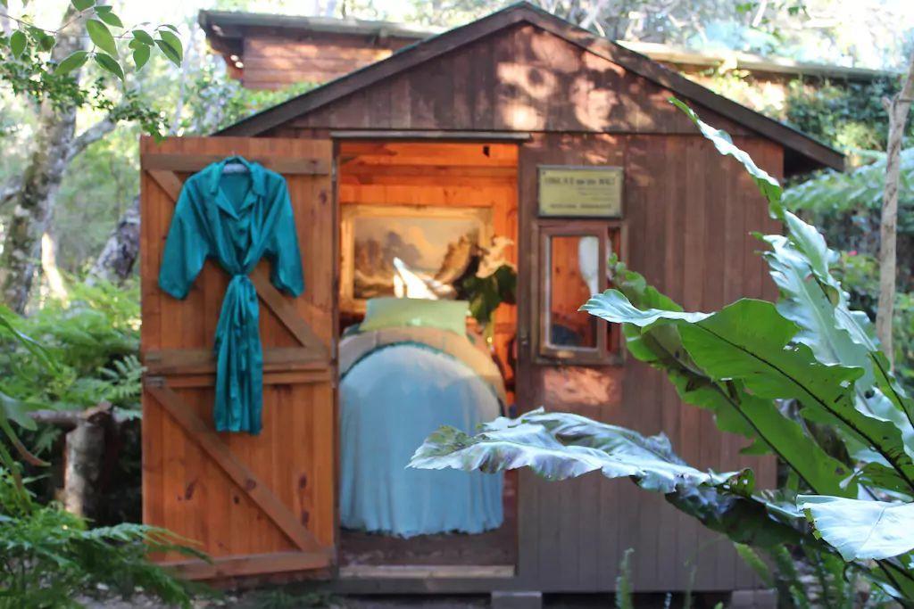 Nature'S Valley Health Retreat A Hide Away In The Forest 외부 사진