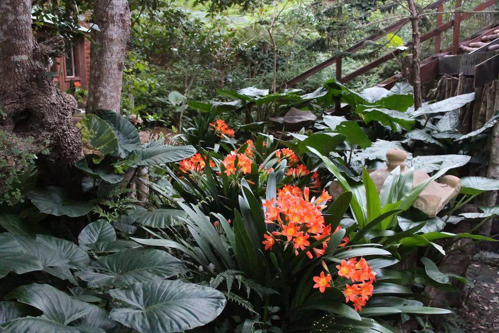 Nature'S Valley Health Retreat A Hide Away In The Forest 외부 사진